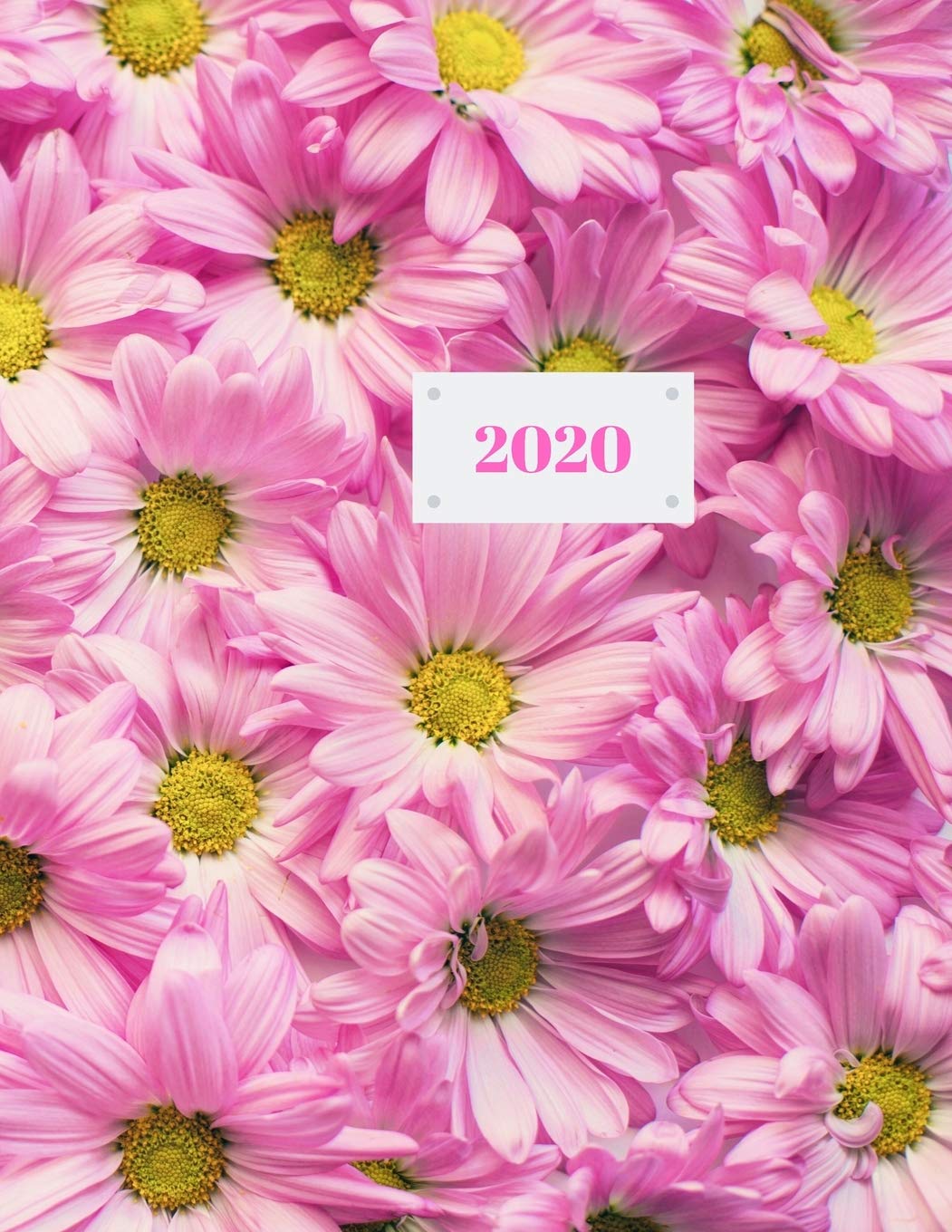 2020: 13 Month Planner January 2020-January 2021 Hobbies & Crafts