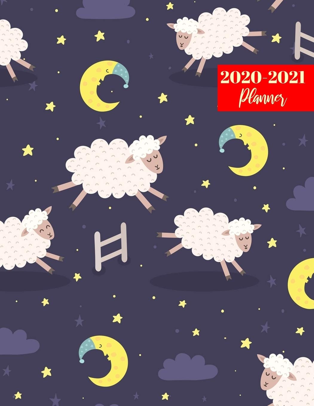 2020-2021 Planner: Nifty Two Year Day Planner Calendar - Passion/Goal Organizer - Weekly/Monthly Dated Agenda Book and To Do List Books
