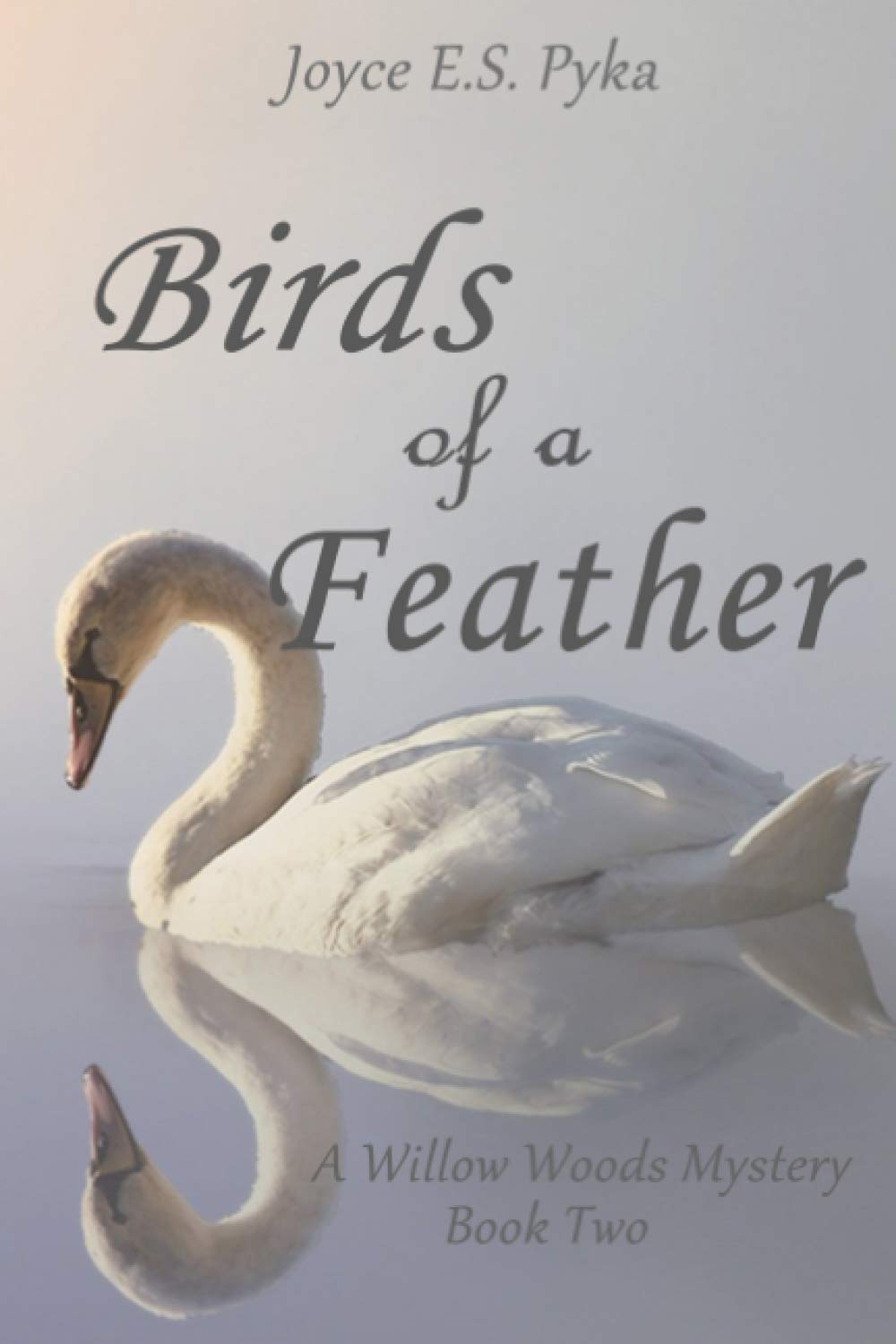 Birds Of A Feather: A Kat Livingston, Willow Woods Mystery Book 2 (A Willow Woods Mystery, Band 2) Cosy Mystery & Humour