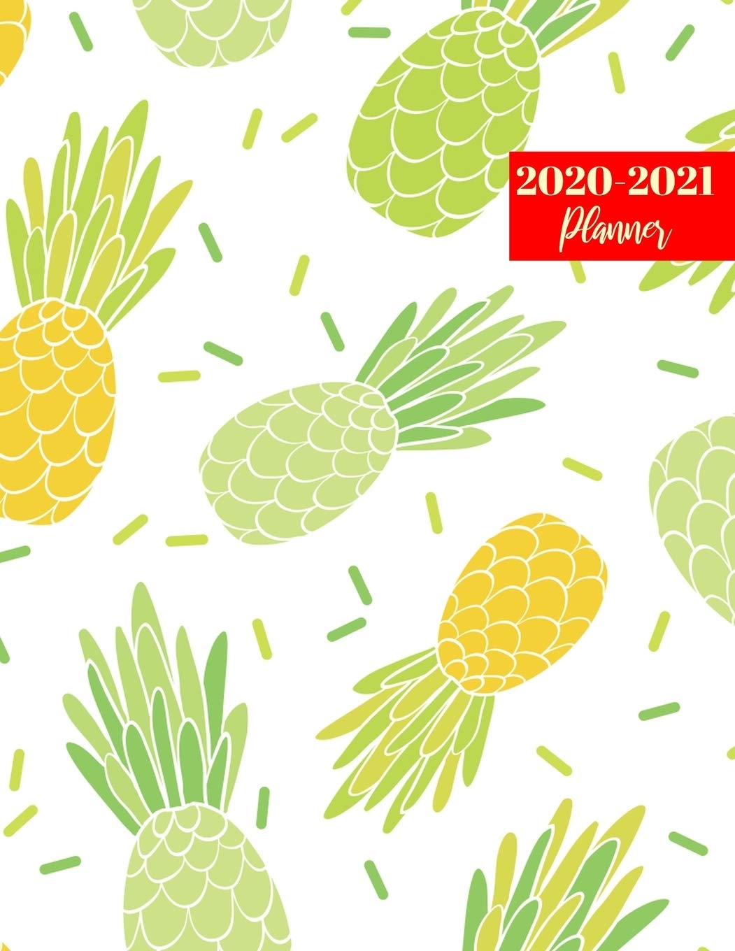 2020-2021 Planner: Pretty Jan 2020 - Dec 2021 2 Year Daily Weekly Monthly Calendar Planner with To Do List Schedule Agenda Books