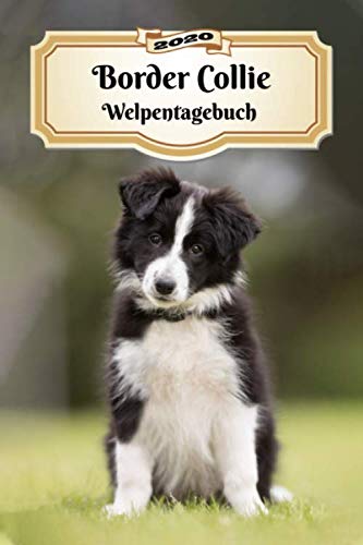 2020 Border Collie Welpentagebuch: Tagebuch für Welpen und Hunde | 139 Seiten | DIN A5 | Softcover | Taschenkalender | Terminplaner | Wochenplaner | Terminkalender | Organizer Pets