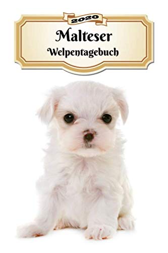 2020 Malteser Welpentagebuch: Tagebuch für Welpen und Hunde | 139 Seiten | DIN A5 | Softcover | Taschenkalender | Terminplaner | Wochenplaner | Terminkalender | Organizer Pets