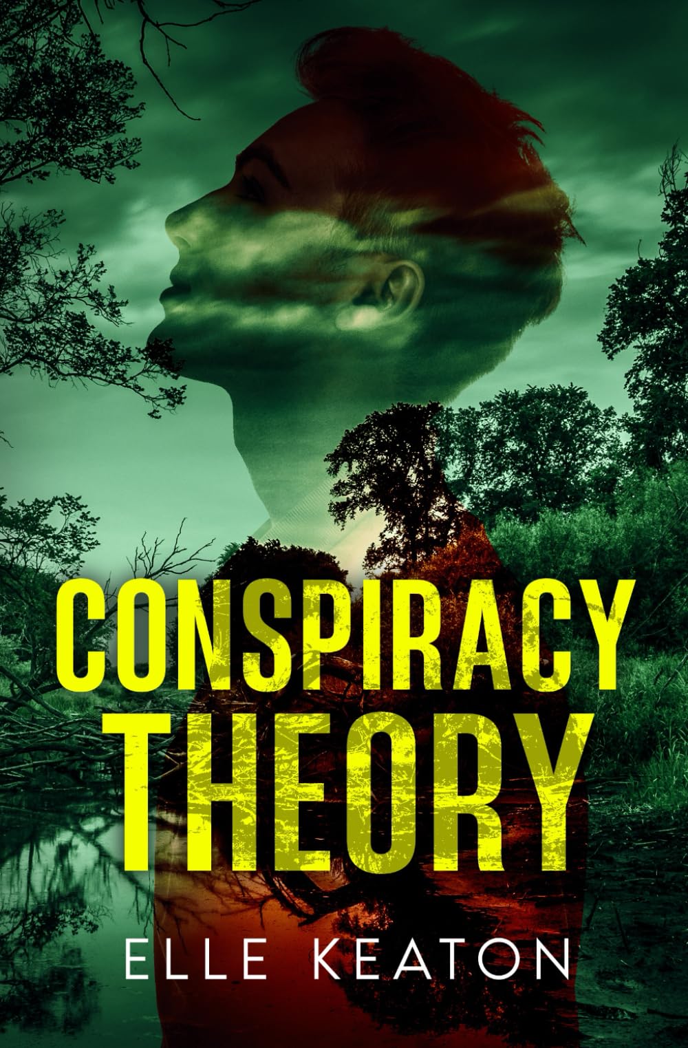 Conspiracy Theory (Veiled Intentions, Band 1) LGBTQ+