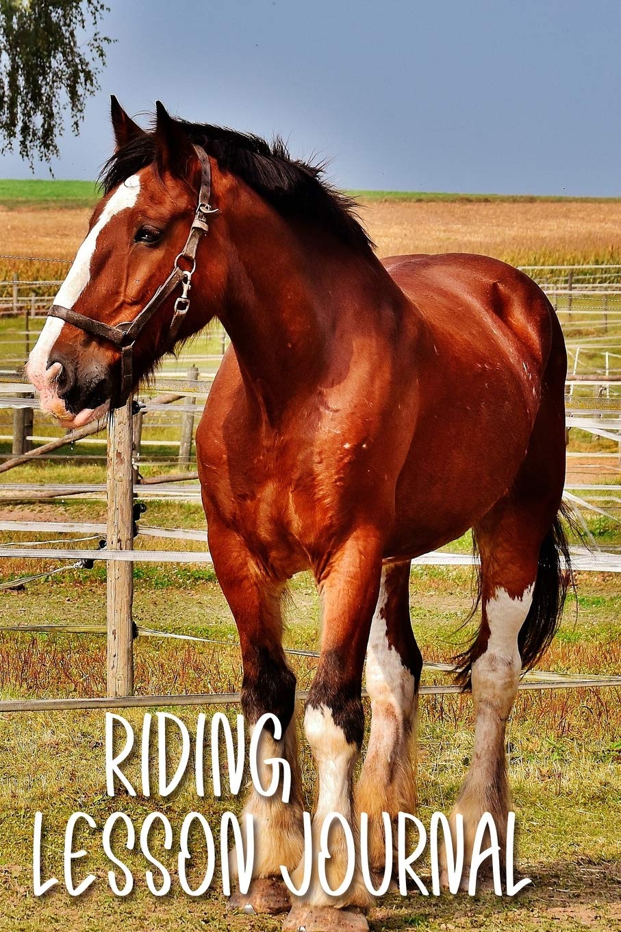 Riding Lesson Journal: Horse on Farm Logbook for Horseback Riding Lessons | Great Gift for all Horse Lovers! Mathematics