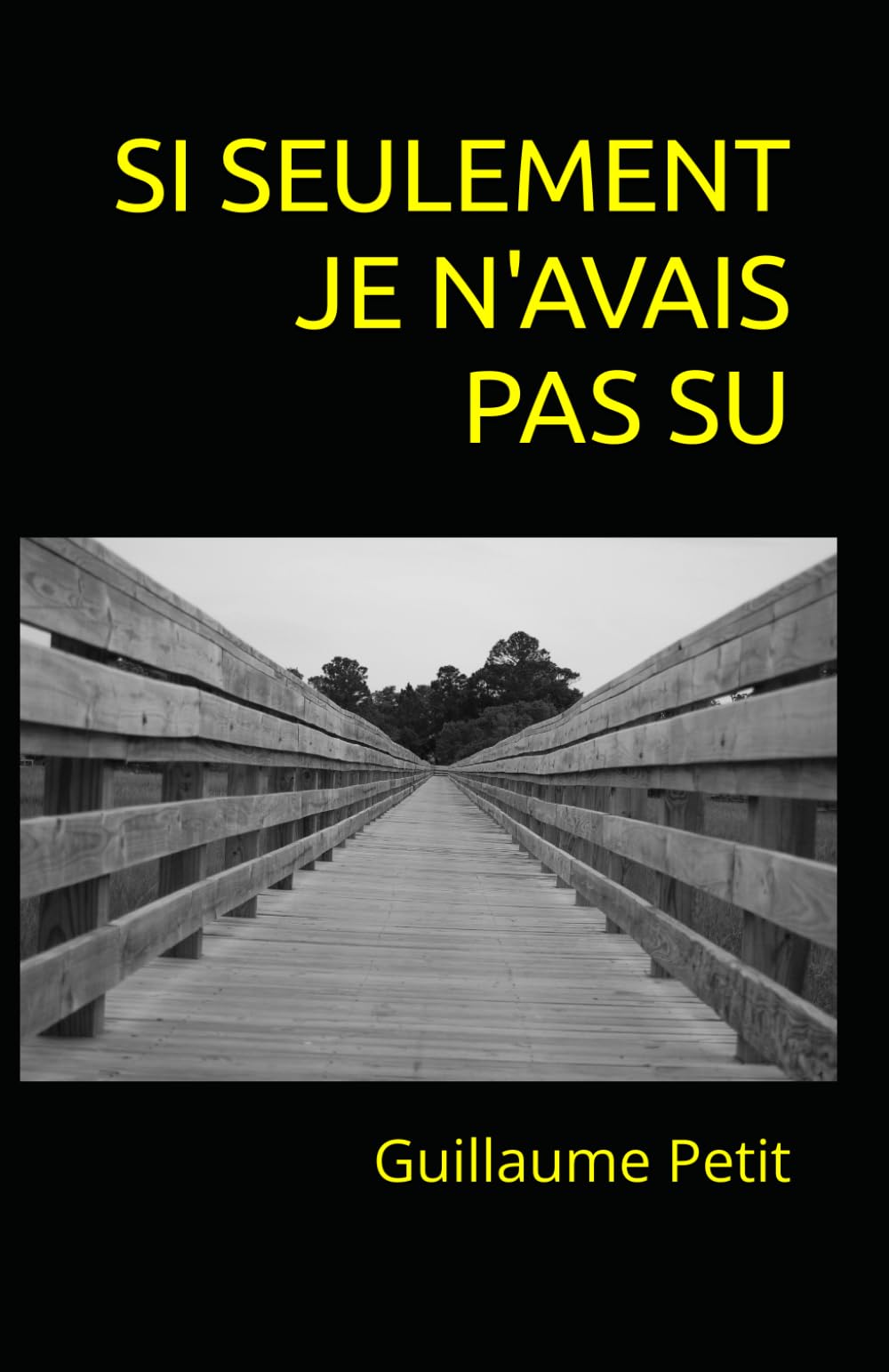 Si seulement je n'avais pas su Historical Fiction