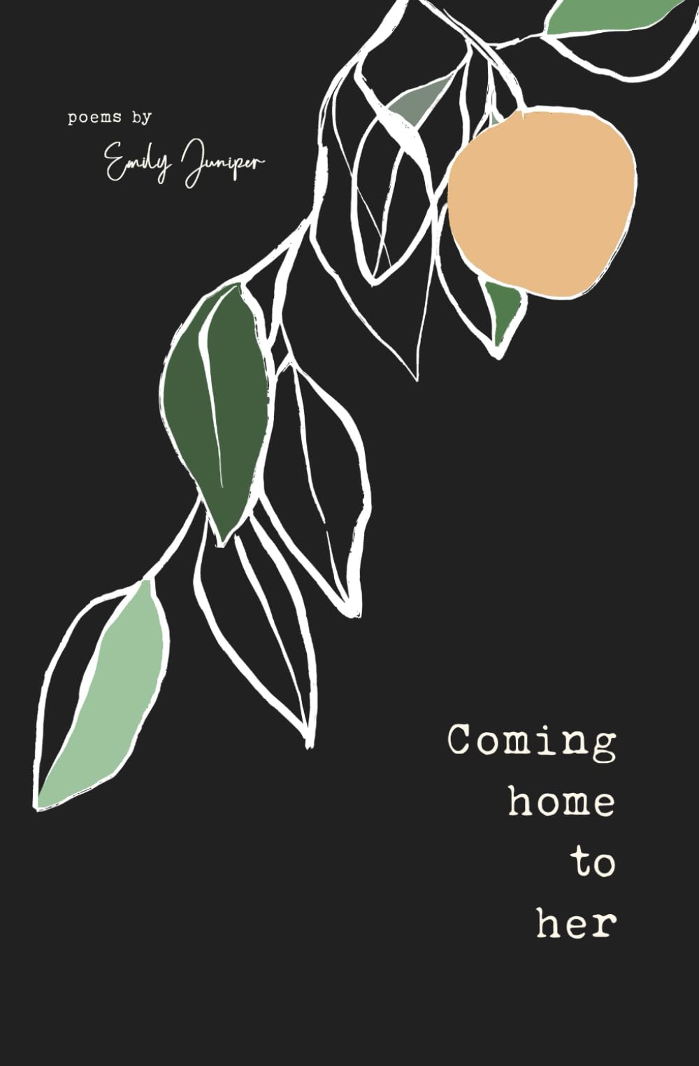 Coming Home to Her: Poems about love, sexuality, and being human Poetry