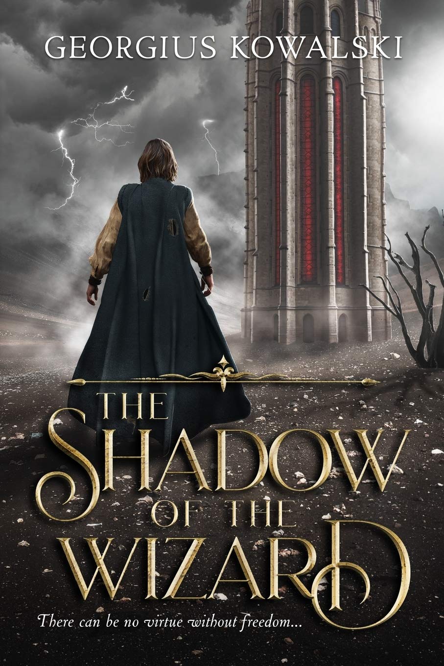 The Shadow of The Wizard Dark Fantasy