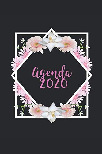 Agenda 2020: planificateur mensuel annuel 2020 I organisateur mensuel I agenda hebdomadaire Study Guides