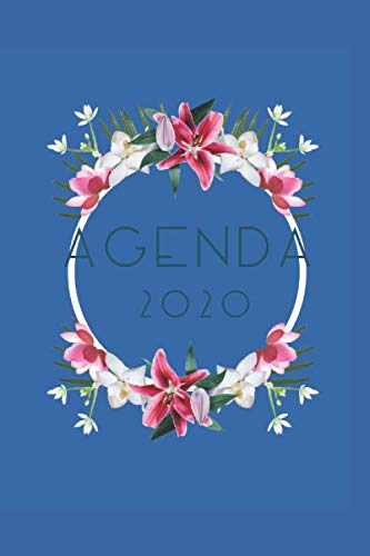 Agenda 2020: planificateur mensuel annuel 2020 I organisateur mensuel I agenda hebdomadaire Learning & Reference