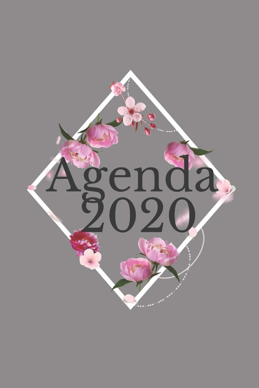 2020: planificateur mensuel annuel 2020 I organisateur mensuel I agenda hebdomadaire Learning & Reference