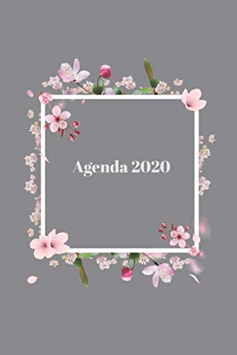 Agenda 2020: planificateur mensuel annuel 2020 I organisateur mensuel I agenda hebdomadaire Learning & Reference