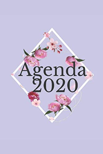 Agenda 2020: planificateur mensuel annuel 2020 I organisateur mensuel I agenda hebdomadaire Learning & Reference