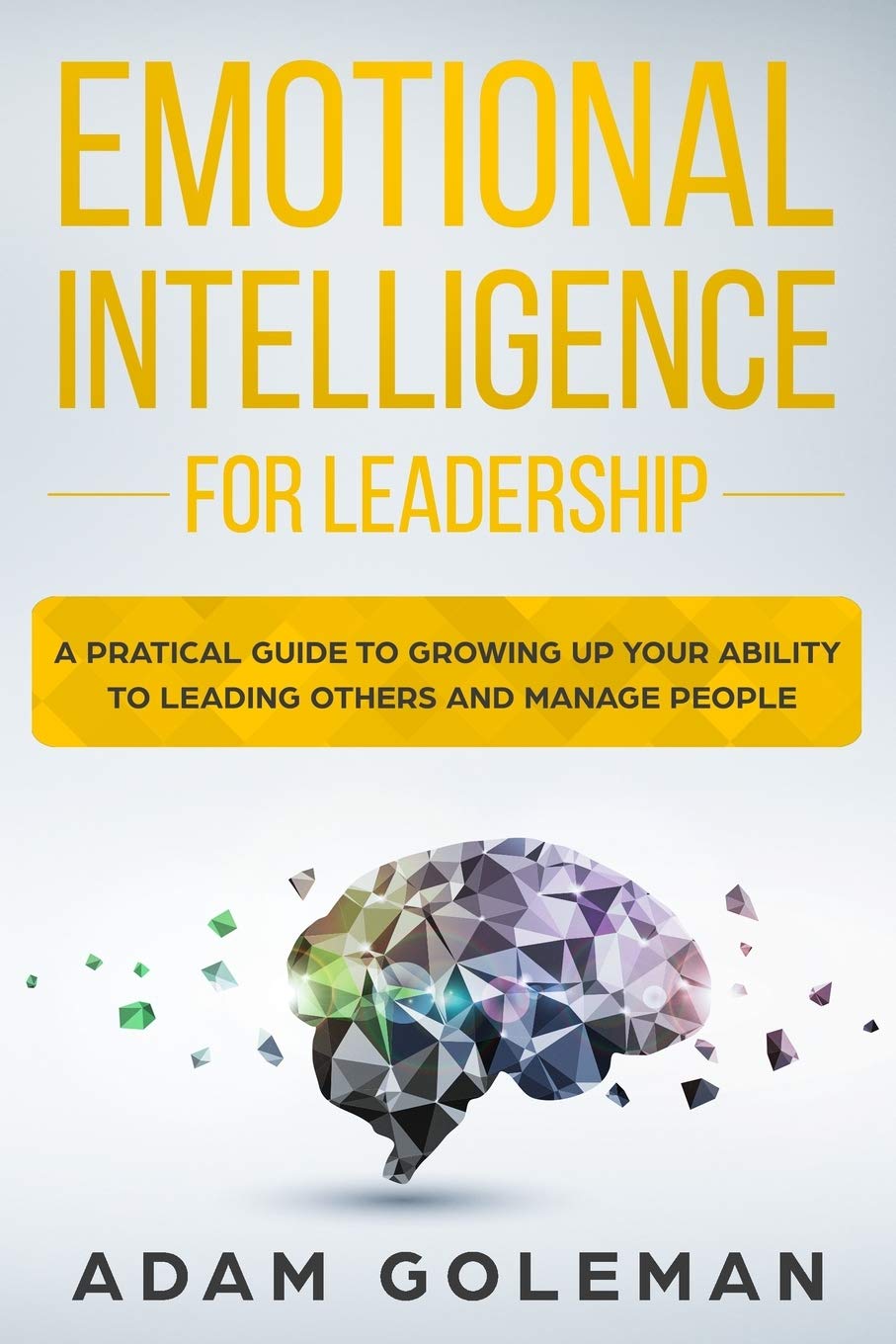 Emotional Intelligence for Leadership: A Practical Guide to Growing Up Your Ability to Leading Others and Manage People Lifestyle