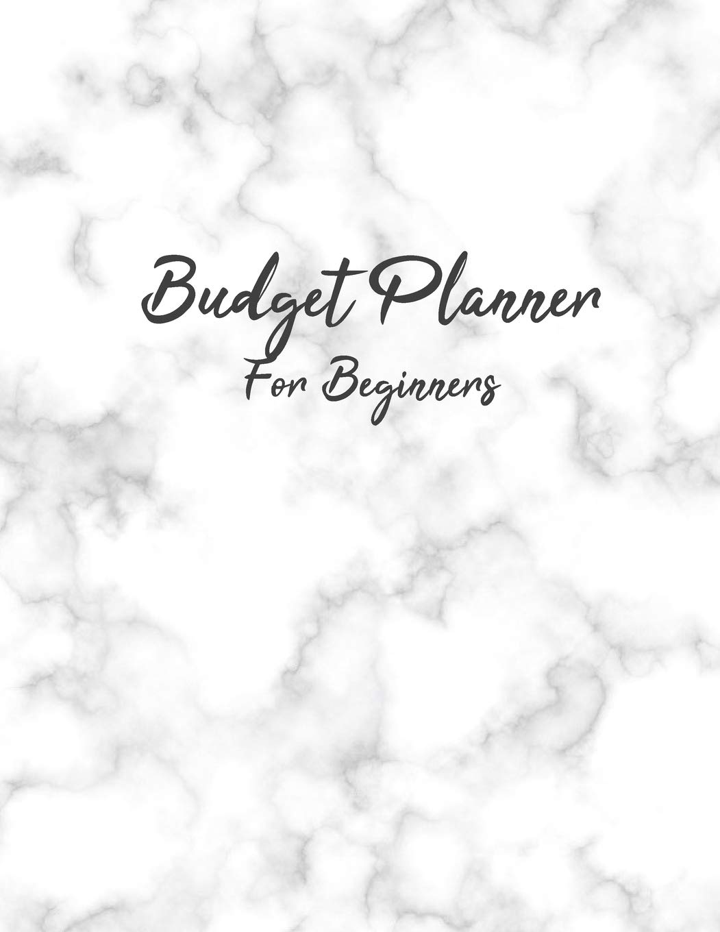 Budget Planner For Beginners: Monthly and Weekly Bill Organizer Expense Tracker A Year With Daily Notebook Workbook for Business Money Control ... Journal Manage Accounting Planning Workbook Business, Finance & Career