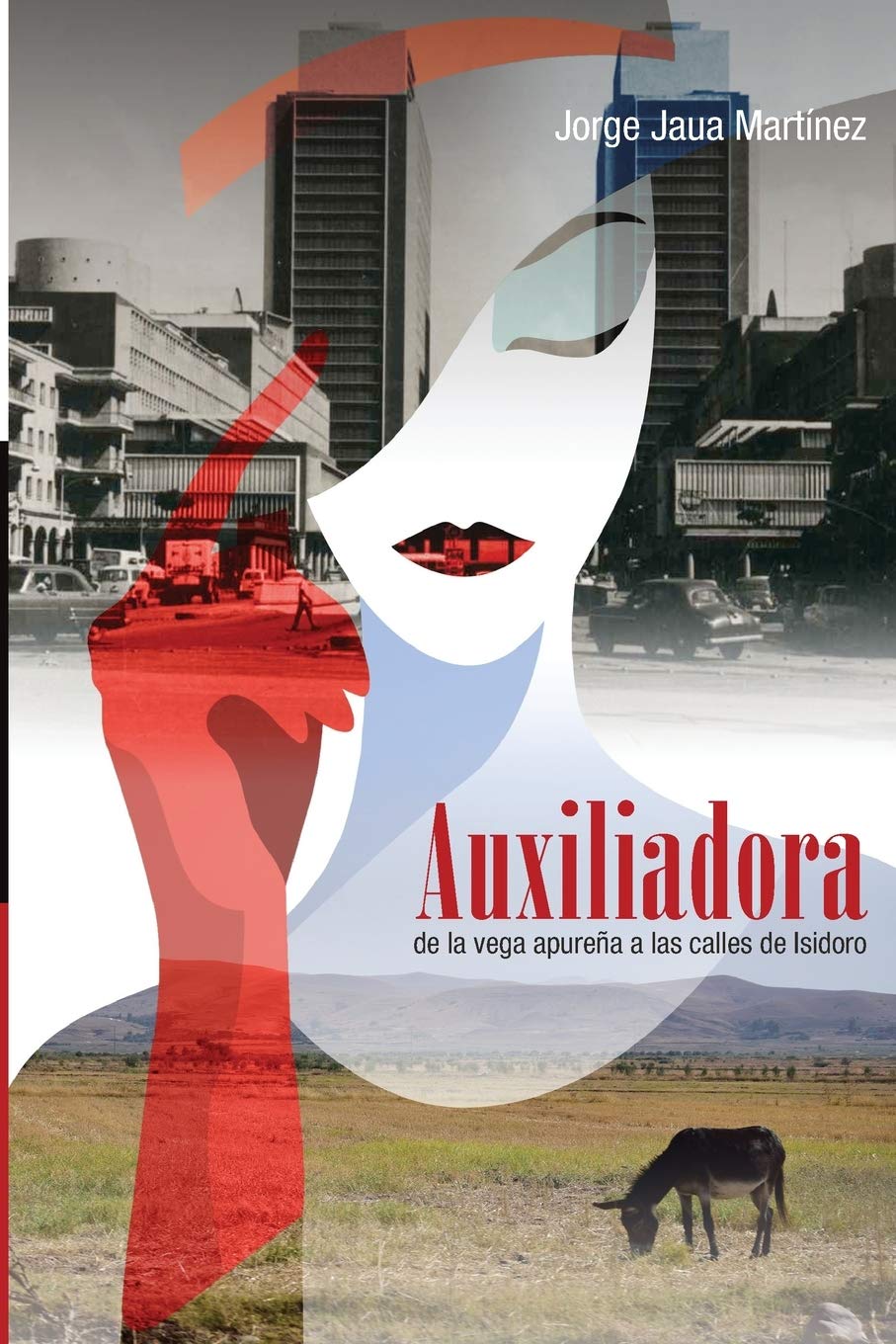 Auxiliadora: De la vega Apureña a las calles de Isidoro Contemporary literature