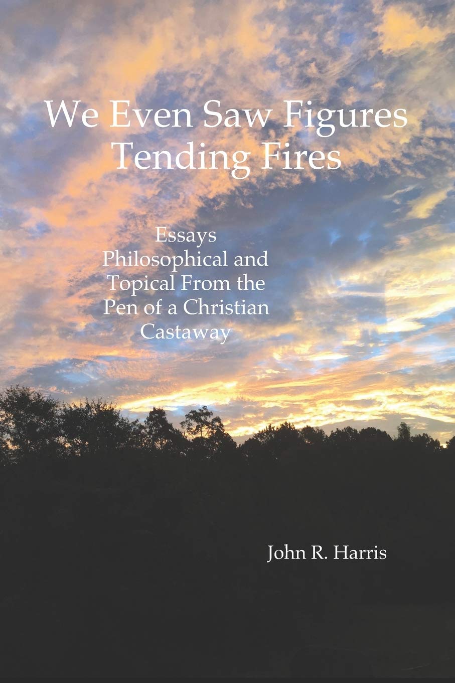 We Even Saw Figures Tending Fires: Essays Philosophical and Topical From the Pen of a Christian Castaway Religion & Esotericism