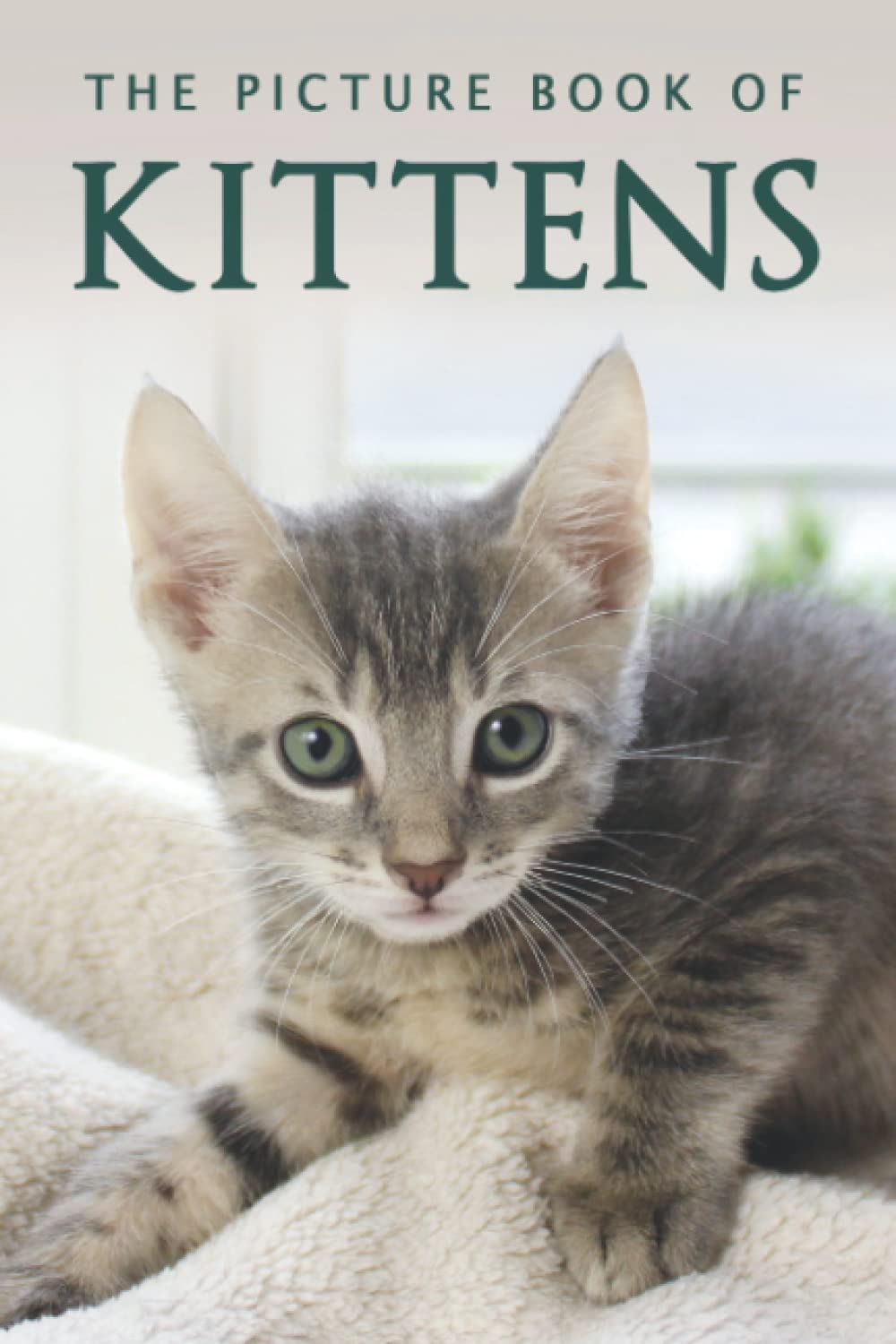 The Picture Book of Kittens: A Gift Book for Alzheimer's Patients or Seniors with Dementia (Picture Books - Animals, Band 21) Medicine