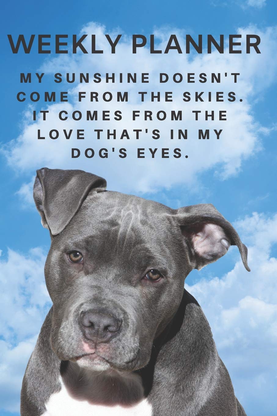 2020 & 2021 Two-Year Weekly Planner For Pit Bull Ownder | Cute Staffordshire Terrier Dog Appointment Book Gift | Two Year Agenda Notebook: Starts ... Logbook | Personal Goal Day Log With Quote Business, Finance & Career
