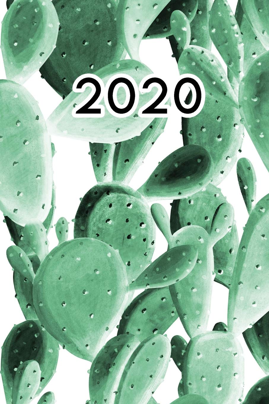 2020: Dated Goal Planner Focus Weekly Monthly Succulent Cacti Cactus book