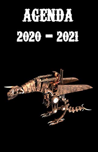 AGENDA 2020 - 2021: Agenda Hebdomadaire - 1 semaine par page - Format A5 - Jan 2020 à Dec 2021 - planificateur, semainier simple & graphique - Steampunk Reference Books