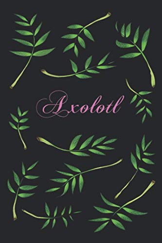Axolotl Notizbuch: 120 linierte Seiten DIN A5 I Buch für Axolotl Haustier Fans Books