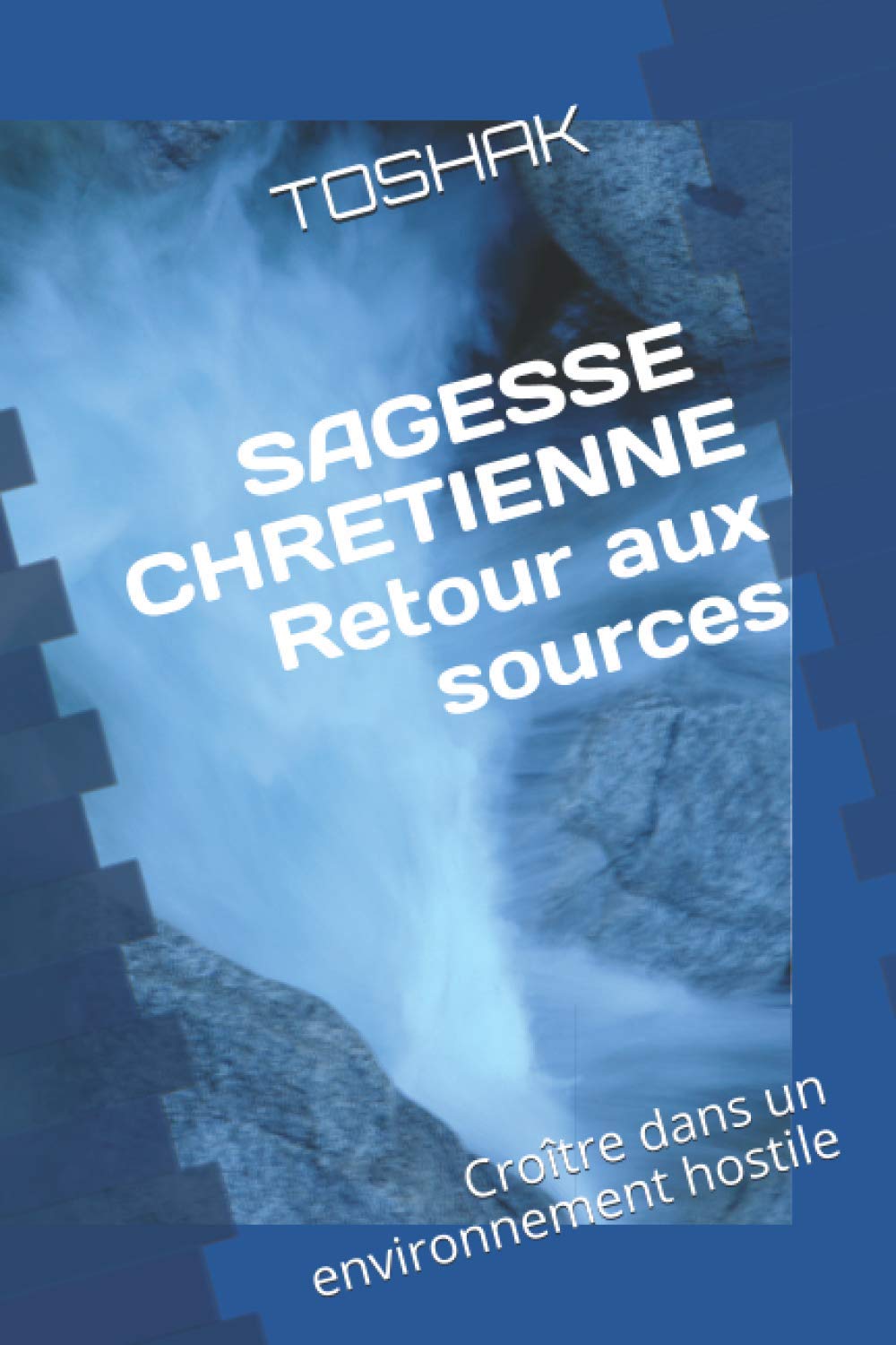 Sagesse Chrétienne: Retour aux Sources: Croître dans un environnement hostile book