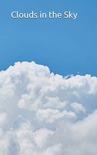Clouds in the Sky: Discreet Password Keeper and Organizer Computer Science
