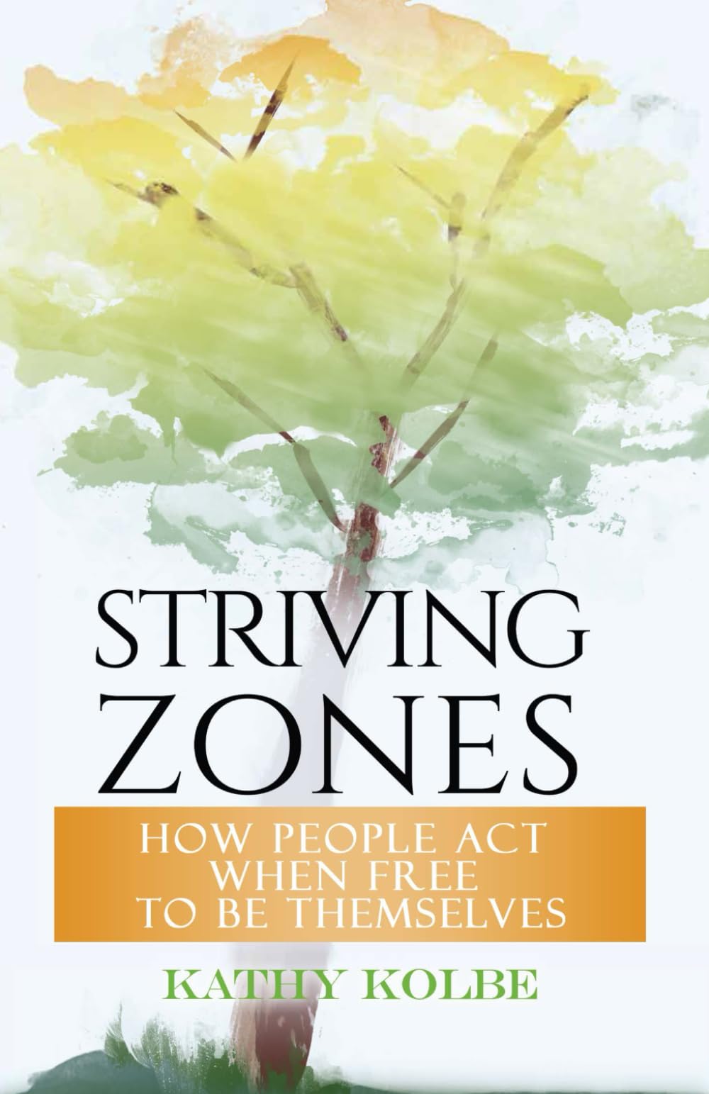 Striving Zones: How People Act When Free to be Themselves Psychology
