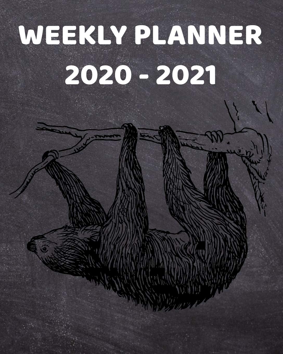 2020-2021 Weekly Planner: 2 Year Weekly & Monthly View Organizer & Agenda with To-Do’s | For Sloth Lovers Business, Finance & Career