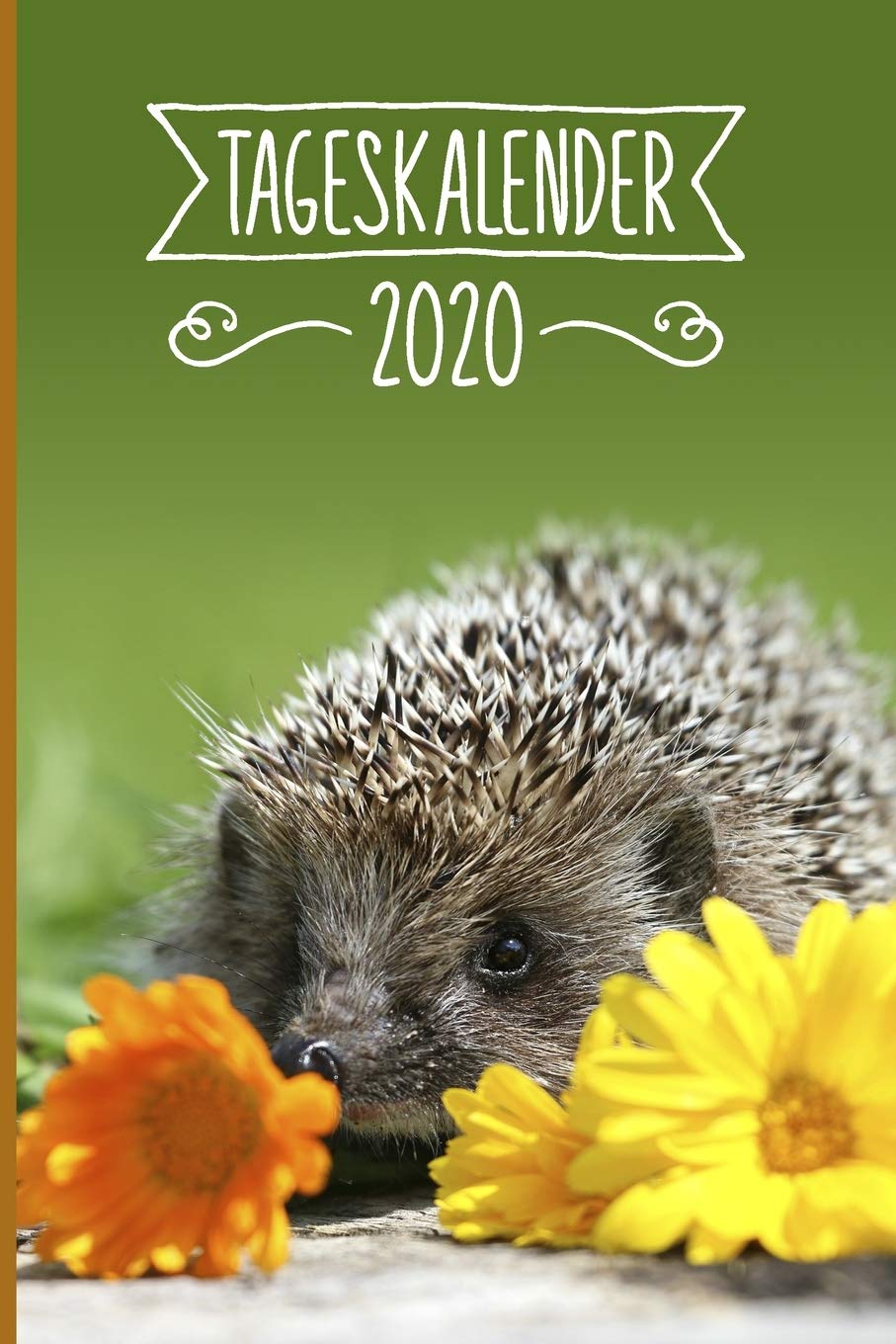 Tageskalender 2020: Igel Terminkalender ca DIN A5 weiß über 370 Seiten I Jahreskalender I Terminplaner I Tagesplaner Pets