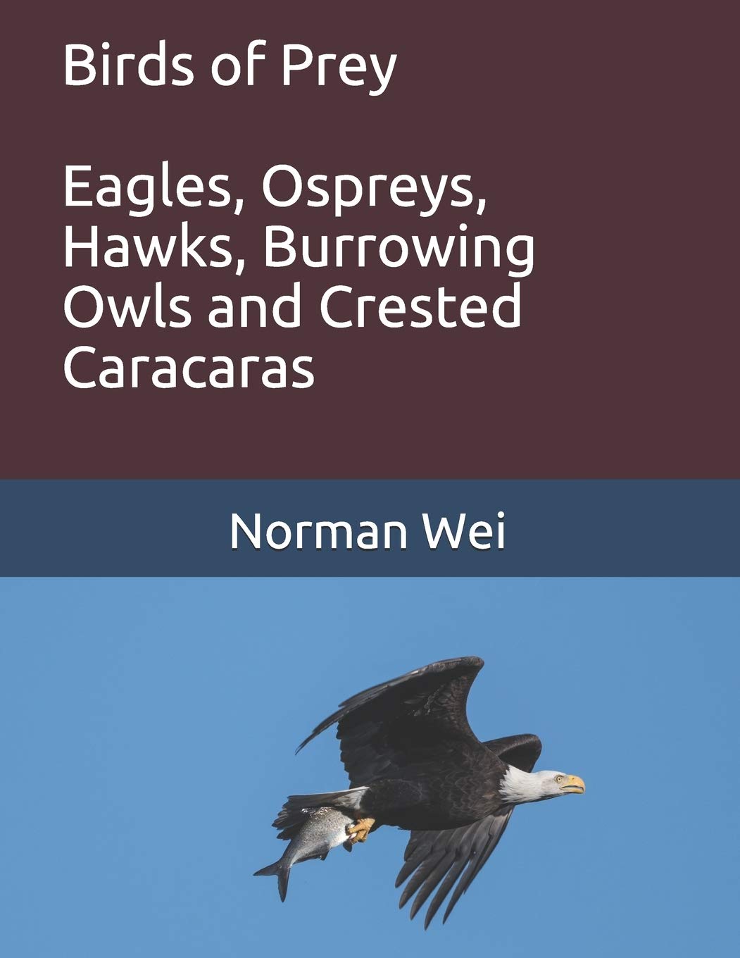 Birds of Prey: Eagles, Ospreys, Hawks, burrowing owls and crested caracaras Travel