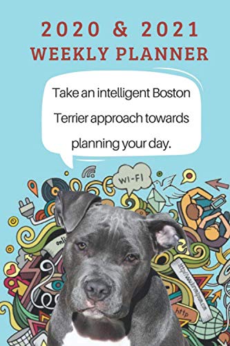 2020 & 2021 Two-Year Weekly Planner For Boston Terrier Dog Owner | Cute Puppy Appointment Book Gift | Two Year Agenda Notebook: Starts November 2019 | ... Plans | Daily Logbook | Personal Goal Day Log book