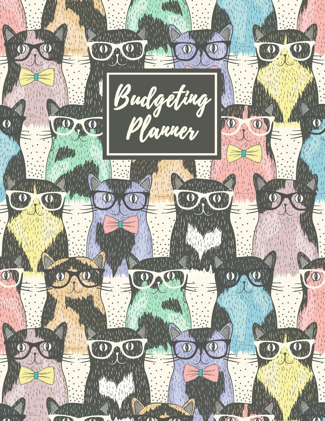 Budgeting Planner: Daily Weekly & Monthly Finance Budget Planner l Expense Tracker & Bill Organizer l Budget Planning (8.5x11) V15 book