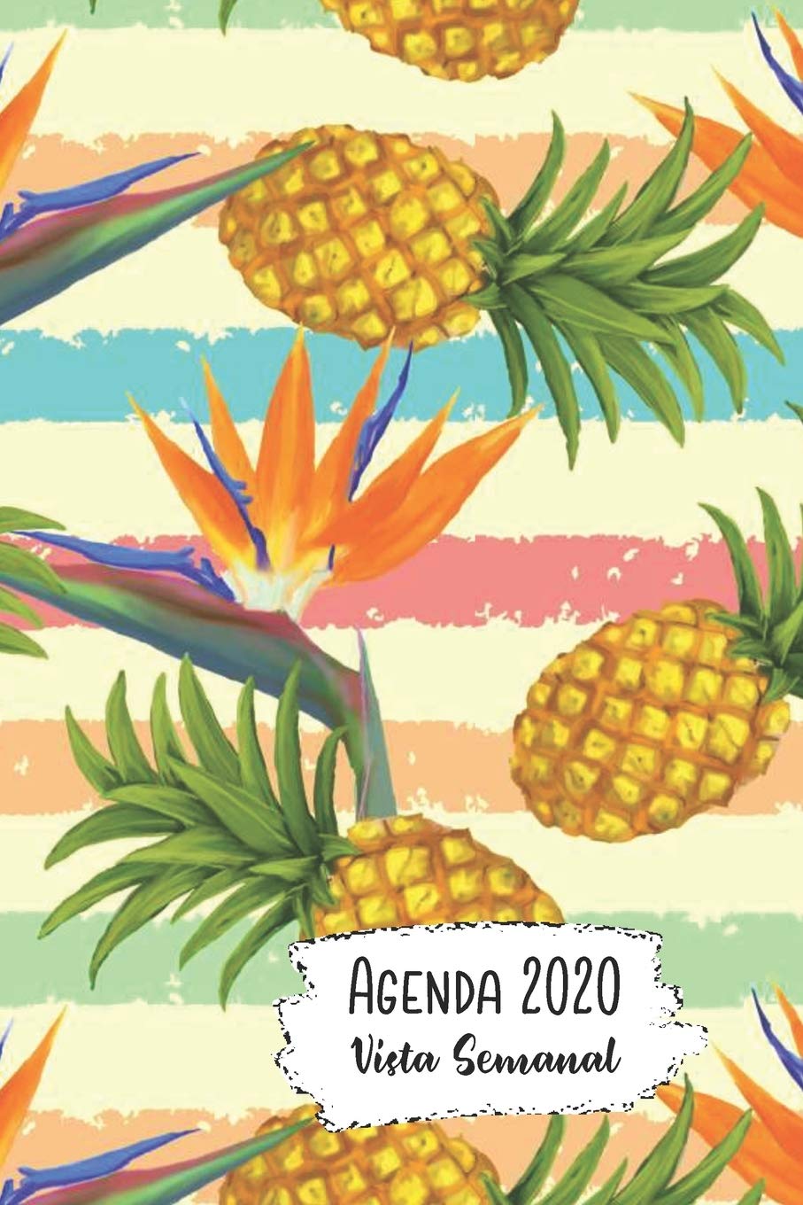 Agenda 2020 Vista Semanal: 13 Meses Programacion Semanal Calendario en Espanol Diseno Piñas book