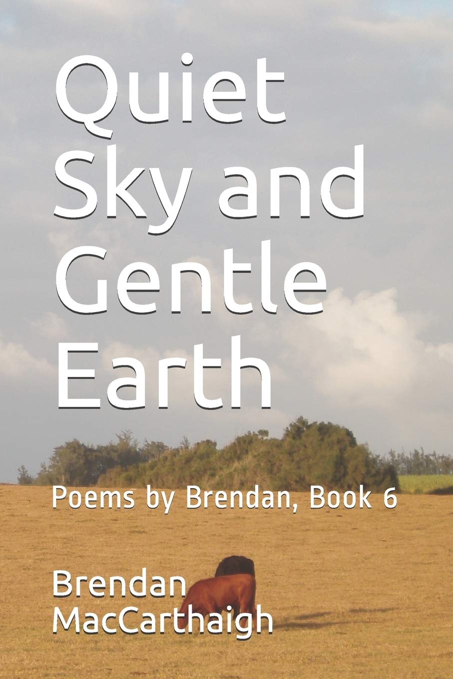 Quiet Sky and Gentle Earth: Poems by Brendan, Book 6 Poetry