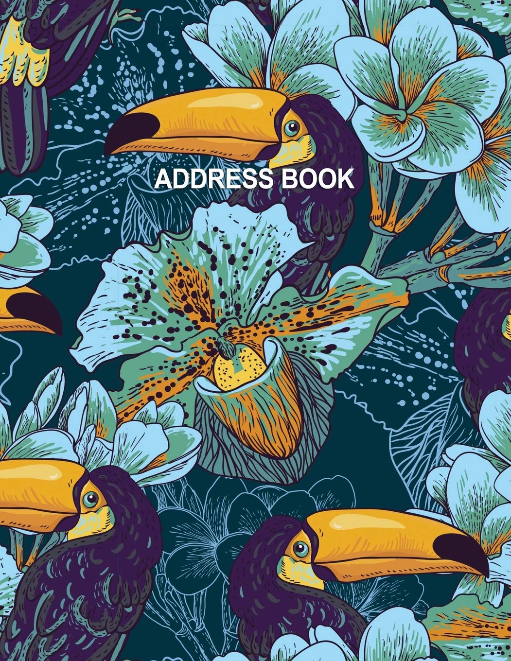 Low Vision Large Print Address Book: Contacts and Password Record Book With Bold Lines on White Paper For Visually Impaired Health, Nutrition & Fitness