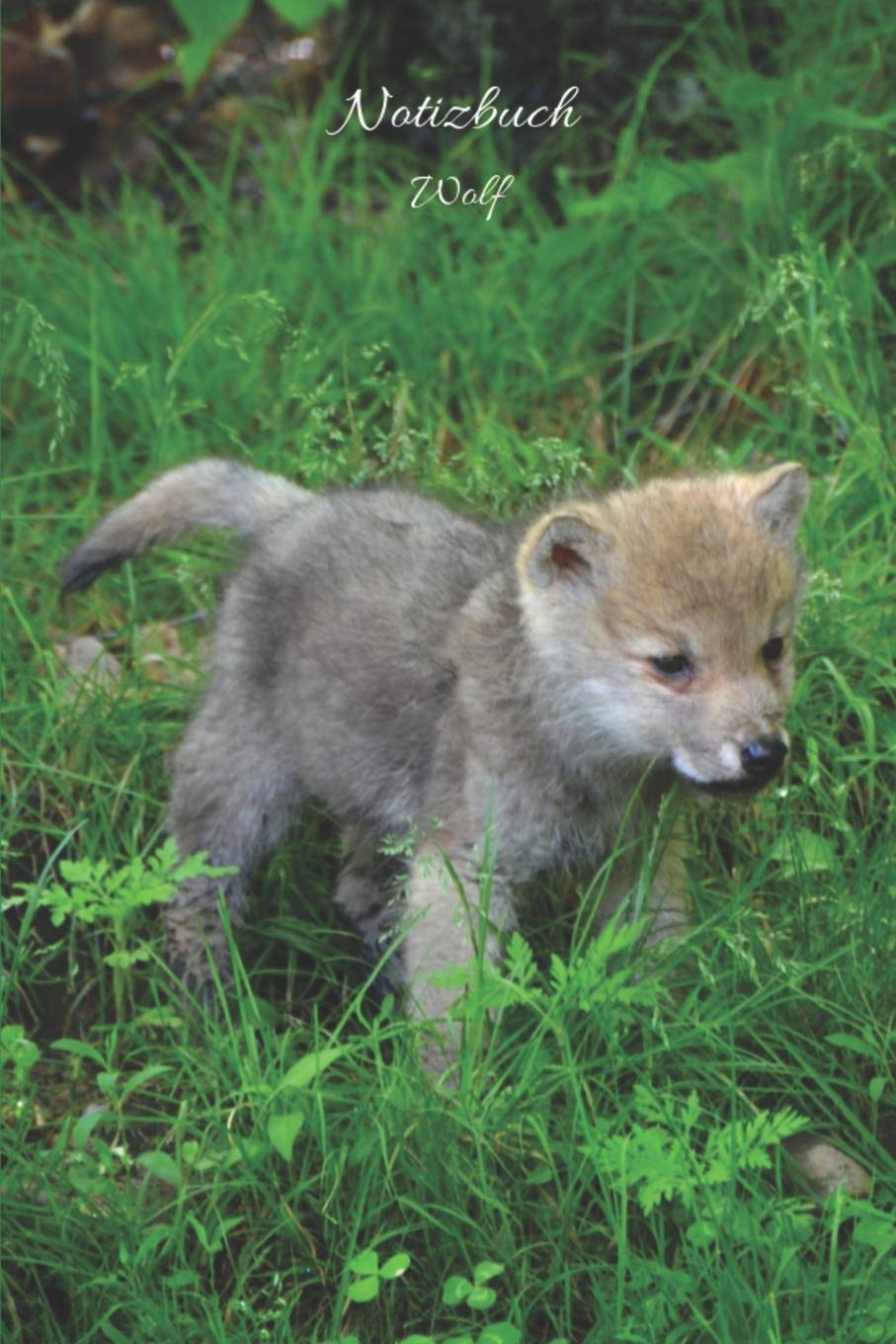 Notizbuch Wolf: Tagebuch, Notizbuch mit Jahresübersicht 2020 für Schule, Hobby und Freizeit. Mathematics