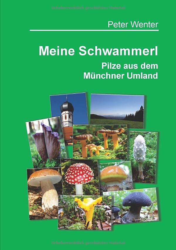 Meine Schwammerl - Pilze aus dem Münchner Umland Mathematics