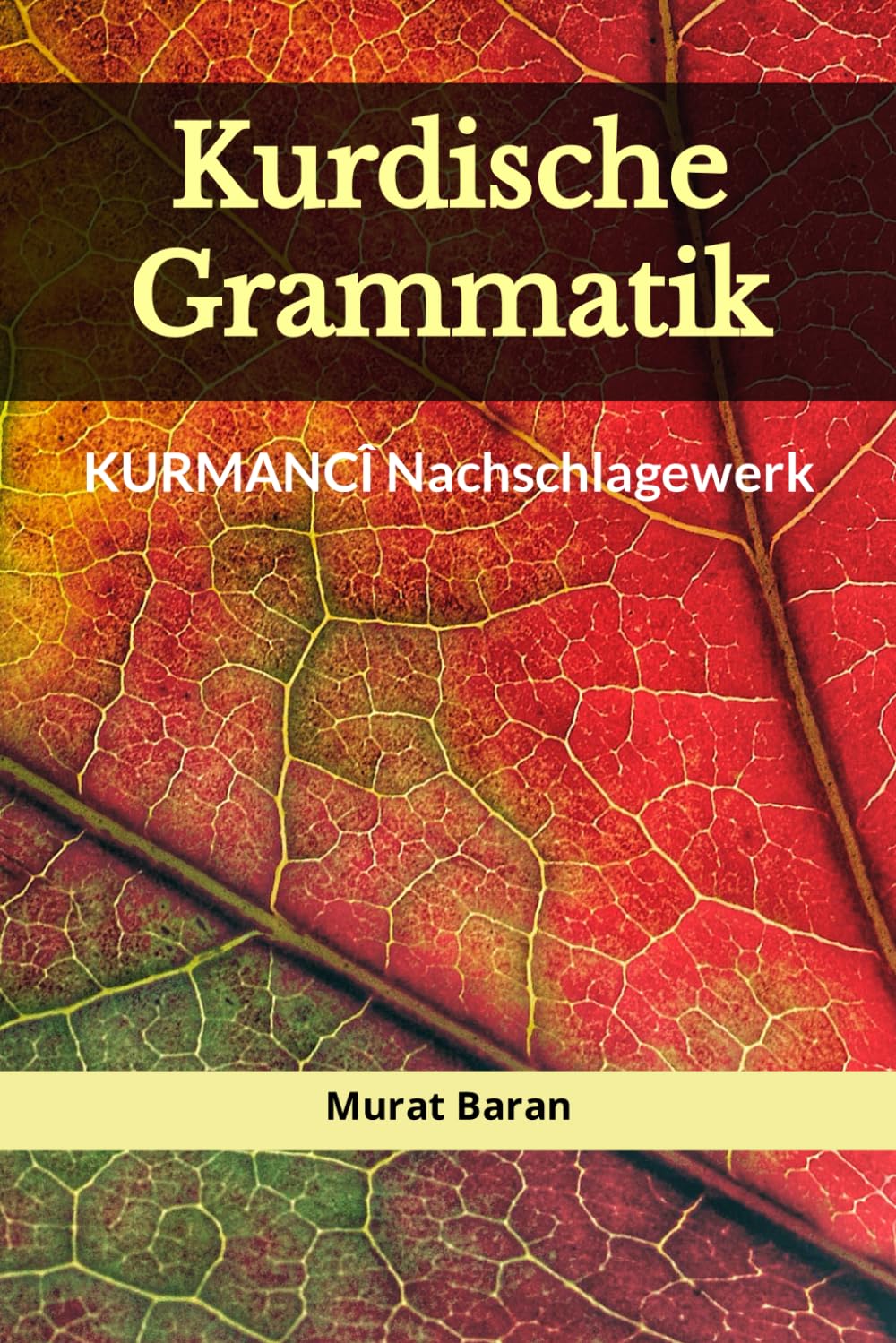 KURDISCHE GRAMMATIK: Kurmancî Nachschlagewerk Media & Communication
