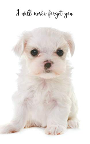 I will never forget you: Maltese | 109 Pages | For 432 Entries | Website, Username, Password, Notes | 5"x8" Pocket Size | Internet Security | Notebook | Log Book | Organizer | Keeper Computer Science