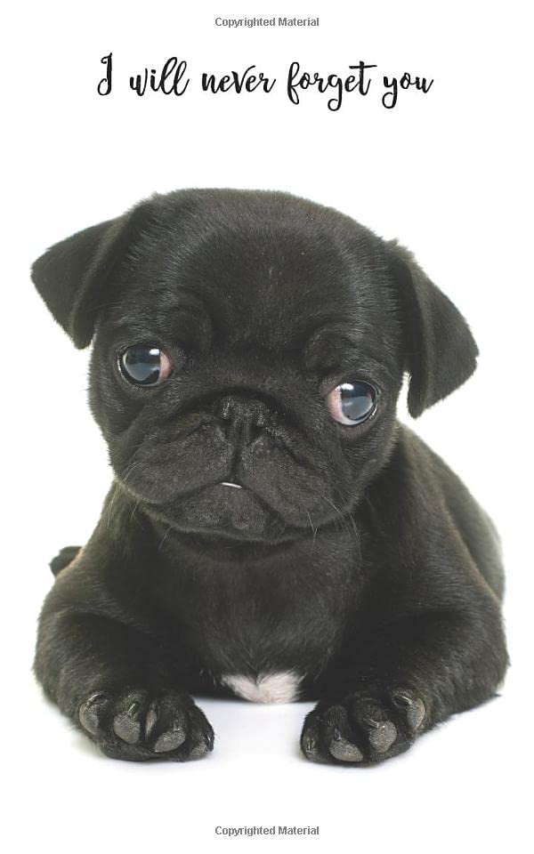 I will never forget you: Pug | 109 Pages | For 432 Entries | Website, Username, Password, Notes | 5"x8" Pocket Size | Internet Security | Notebook | Log Book | Organizer | Keeper Computer Science