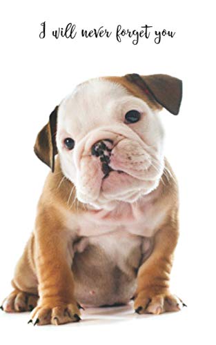 I will never forget you: English Bulldog | 109 Pages | For 432 Entries | Website, Username, Password, Notes | 5"x8" Pocket Size | Internet Security | Notebook | Log Book | Organizer | Keeper Computer Science