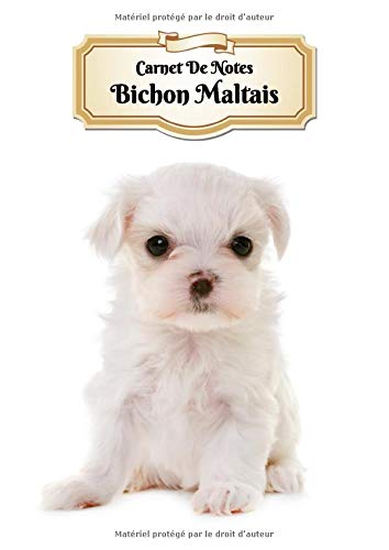 Carnet De Notes: Bichon Maltais | Chiot ou Chien | A4 139 Pages Avec Papier Pointillé | Bullet Journal | Lettering | Art Notes | Cahier | Dotted Journal | Notebook Pets