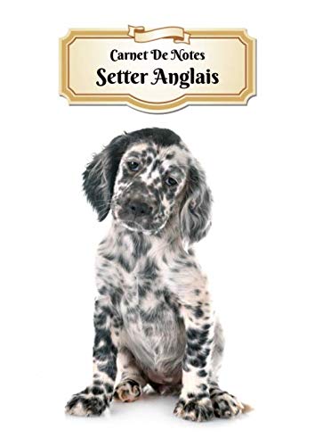 Carnet De Notes: Setter Anglais | Chiot ou Chien | A4 139 Pages Avec Papier Quadrillé 5 x 5 mm | Cahier d'exercices | Cahier d'écolier | Graph Paper Journal | Notebook Pets