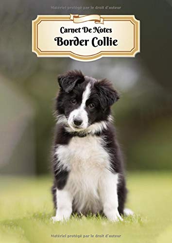 Carnet De Notes: Border Collie | Chiot ou Chien | A4 139 Pages Avec Papier Ligné | Bullet Journal | Lettering | Art Notes | Cahier | Ligned Journal | Notebook Pets