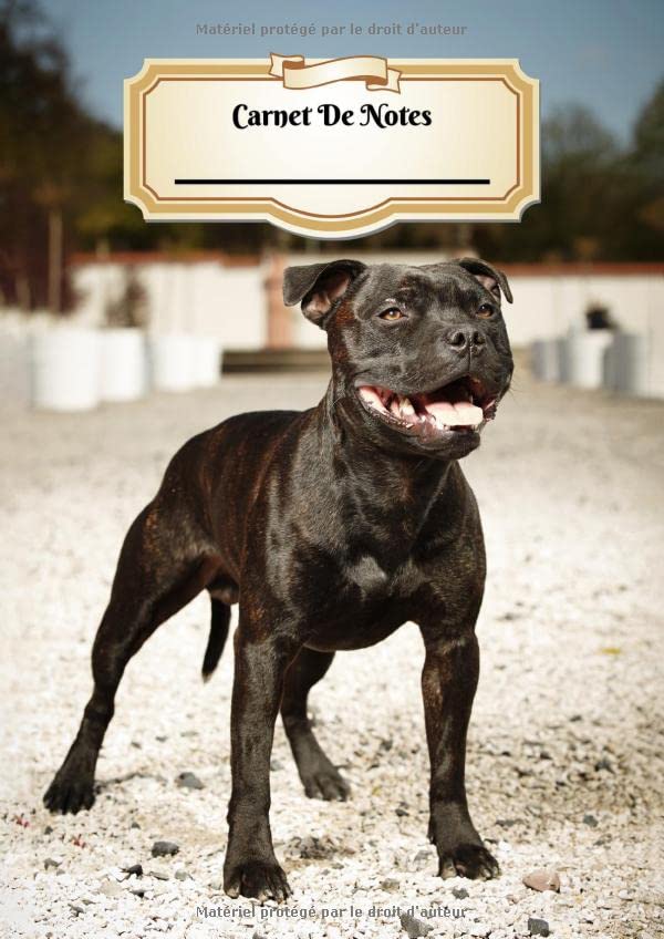 Carnet De Notes: Pitbull | Chiot ou Chien | A4 139 Pages Avec Papier Quadrillé 5 x 5 mm | Cahier d'exercices | Cahier d'écolier | Graph Paper Journal | Notebook | Espace pour votre nom Pets