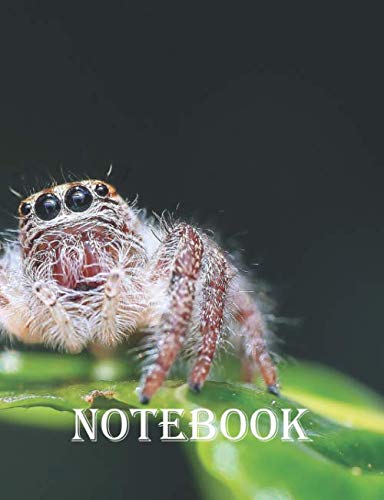 NOTEBOOK: Wide Ruled Composition Notebook - (7.44 x 9.69 inches) 200 Pages Film, Art & Culture