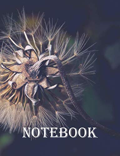 NOTEBOOK: Wide Ruled Composition Notebook - (7.44 x 9.69 inches) 200 Pages Film, Art & Culture