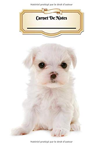 Carnet De Notes: Bichon Maltais | Chiot ou Chien | A4 139 Pages Avec Papier Pointillé | Bullet Journal | Lettering | Art Notes | Cahier | Dotted Journal | Notebook | Espace pour votre nom Pets