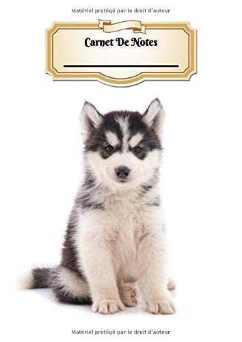 Carnet De Notes: Husky de Sibérie | Chiot ou Chien | A4 139 Pages Avec Papier Ligné | Bullet Journal | Lettering | Art Notes | Cahier | Ligned Journal | Notebook | Espace pour votre nom Pets